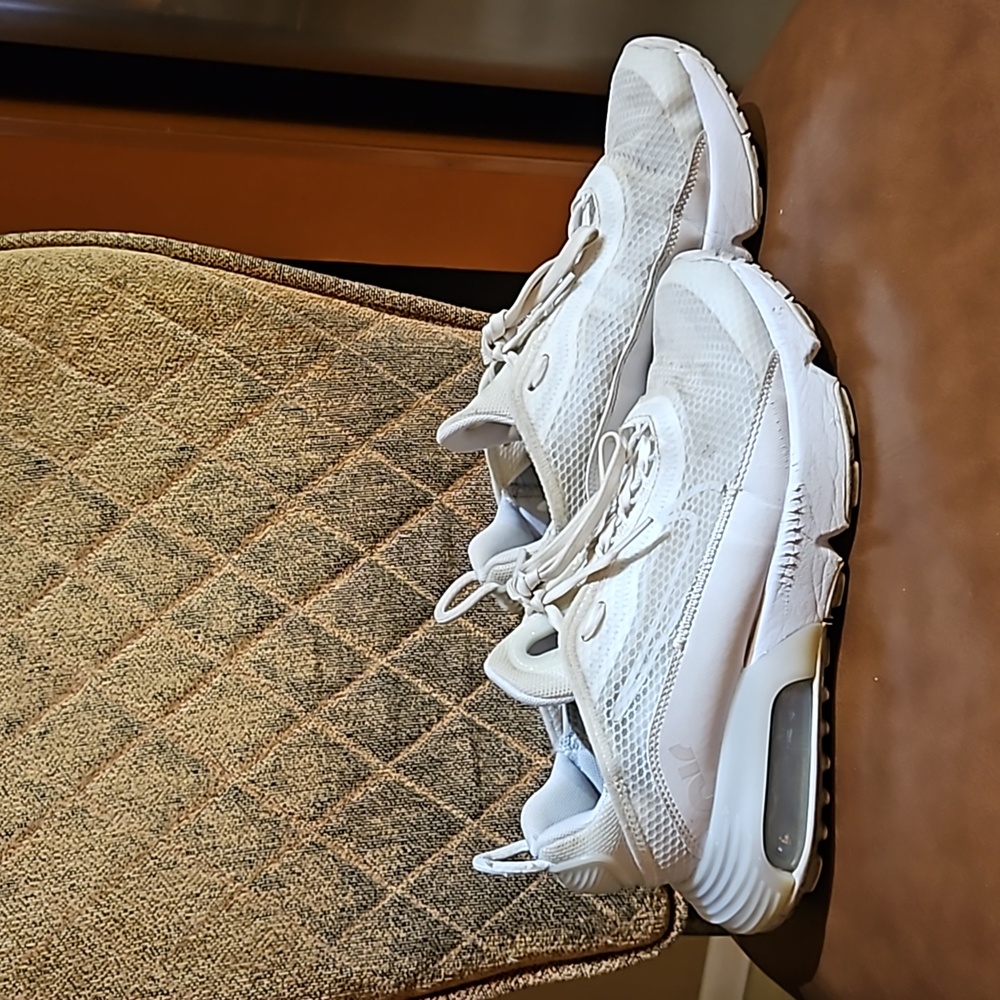 Nike Air Max 2090 White/Wolf Grey Lace Up Sneakers Running Shoes